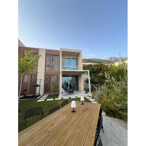 Green Coast Palase 241