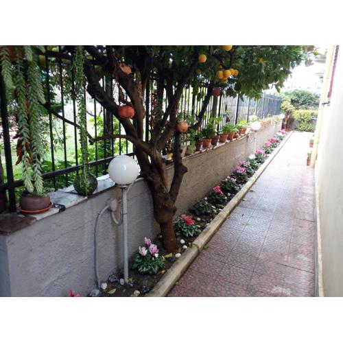 Green Garden