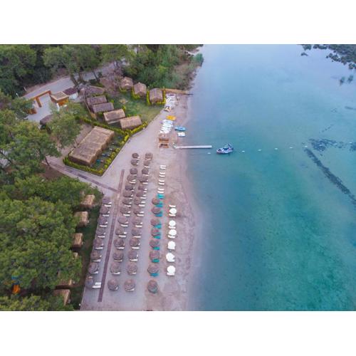 Green Pine Bungalows & Beach Luxury Concept