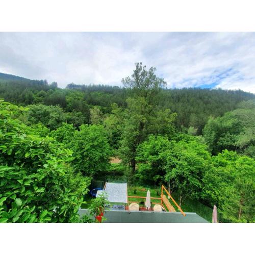 Green View 1