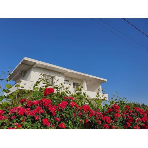 Green Villa