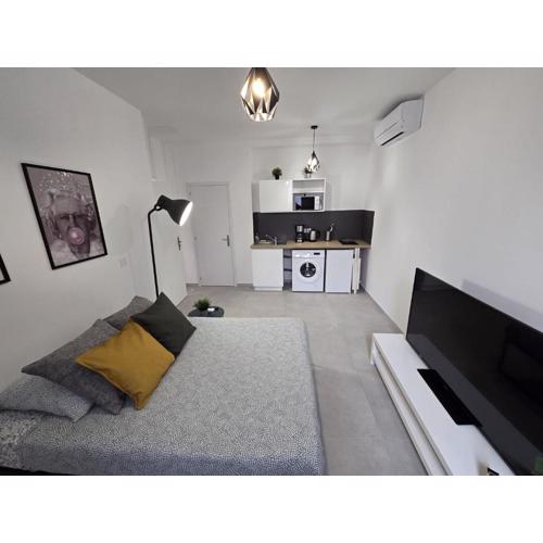 GregBnb - Studio 22m2 - Climatisé -10min Gare - 1