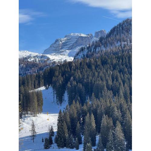 Guardabassi Collection - Chalet Campiglio Mountain View