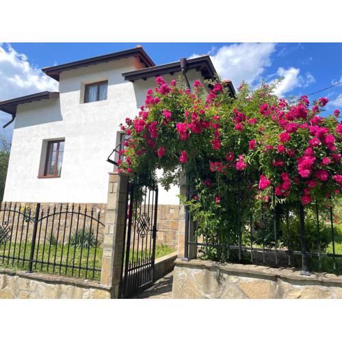 Guest House “Anchetata”
