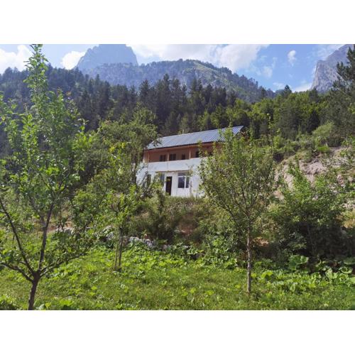 Guest house Artani
