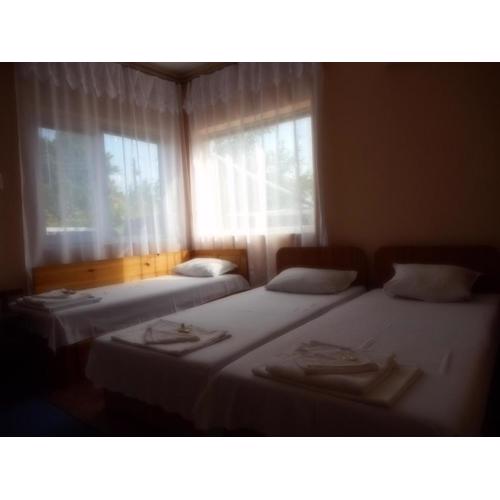 Guest House Borisov