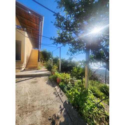 Guest House Borshi