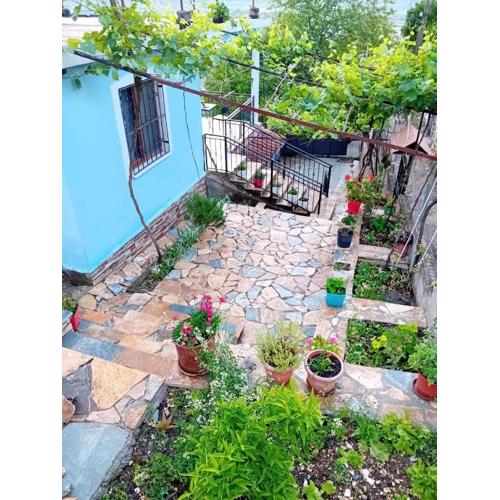 Guest house Eloid