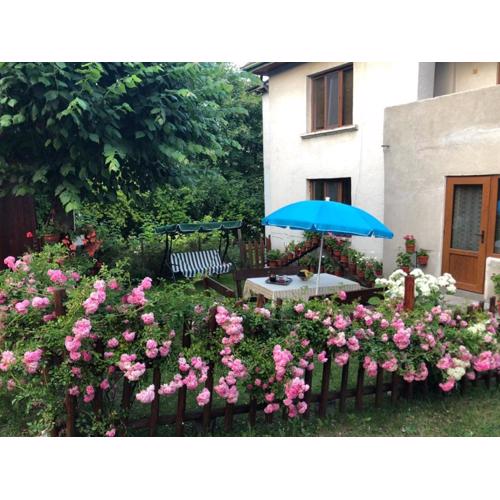Guest house Emmy