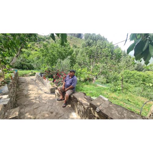 Guest House FELAU