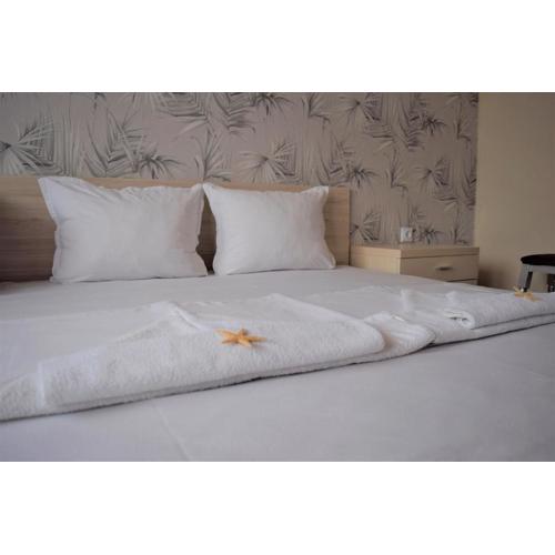Guest House Gloria