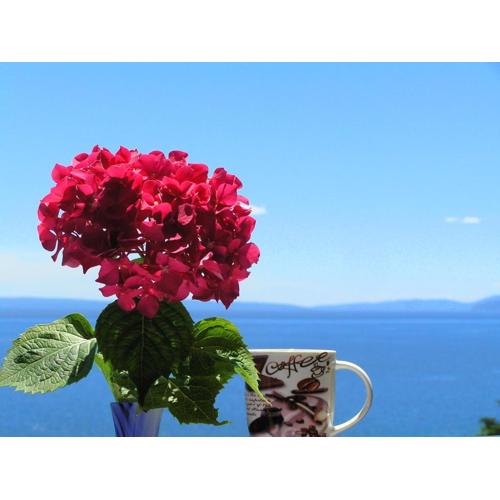 Guest House Lifestyle Holiday