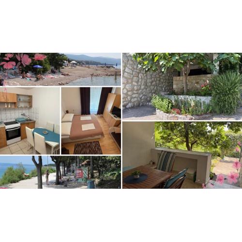 Guest House Mara