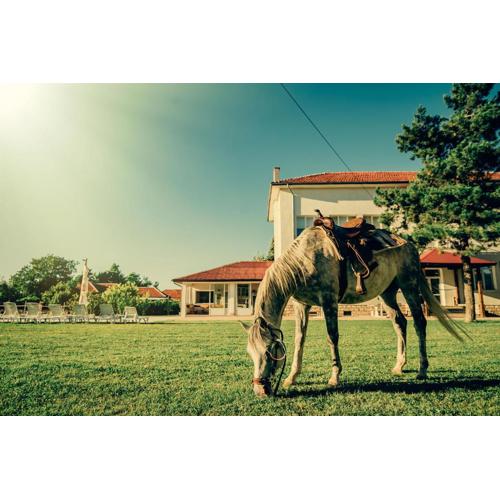 Guest House Ongal