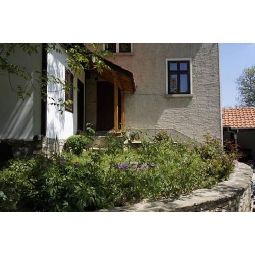 Guest House Pepeliana