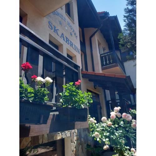 Guest house Skabrin