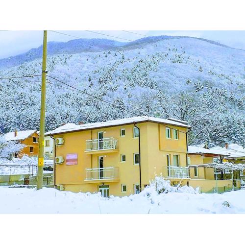 Guest house Tedi
