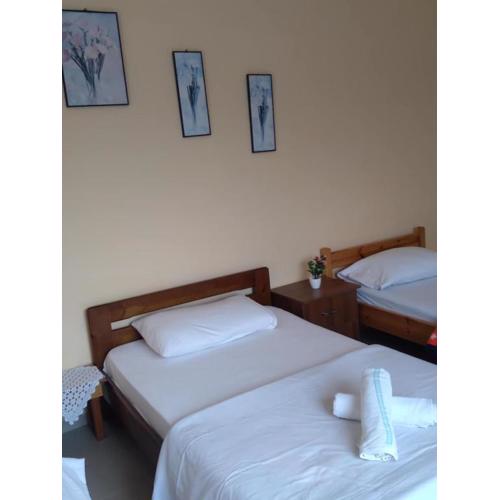 Guest house vasi
