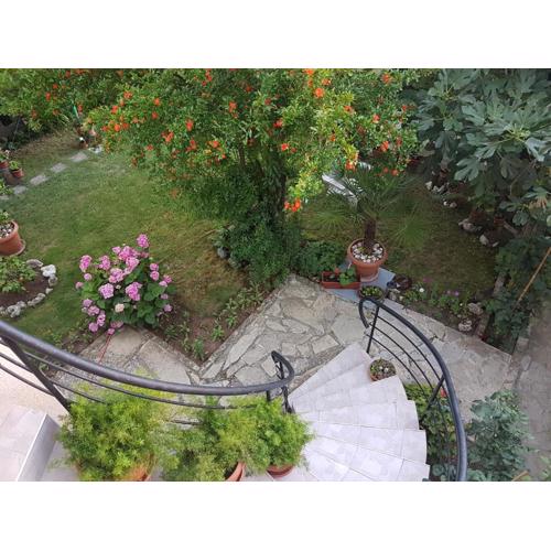 Guest House Veselina