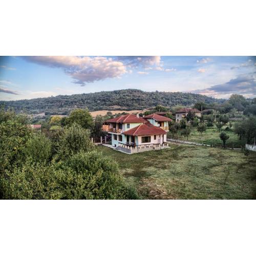 Guest House Villa Bozhenitsa