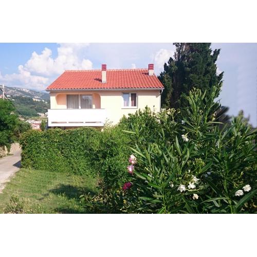 Guest House Violeta