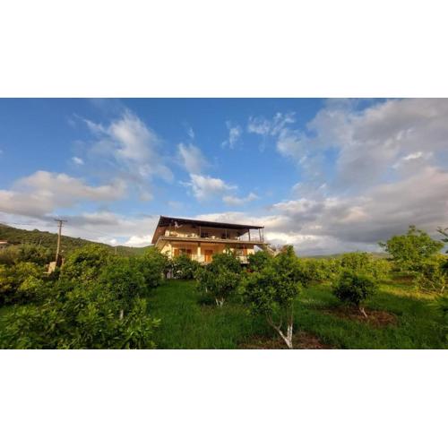 Guest House Xhaferaj