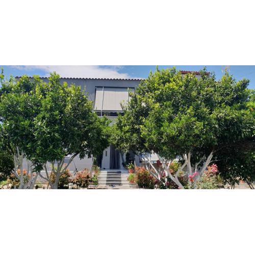 Guesthouse Anila