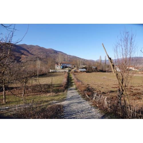 Guesthouse Arber