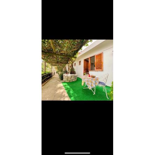 Guesthouse Coralba