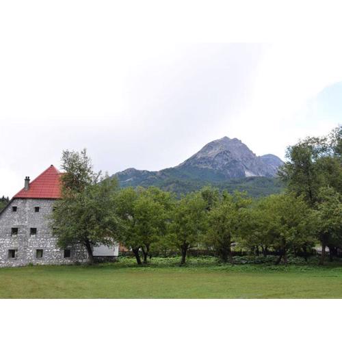Guesthouse Jezerca