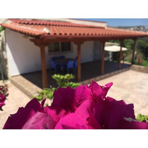 Guesthouse Nedin