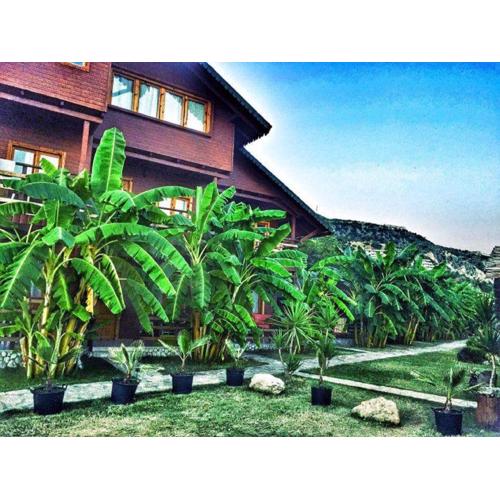 Guesthouse Vila Druri Dhermi