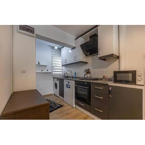 Güneş Villa Bahçe Katı