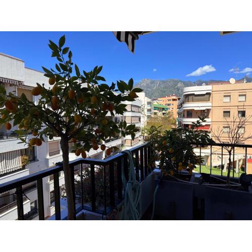 Harbor Light Marbella Getaway - EaW Homes