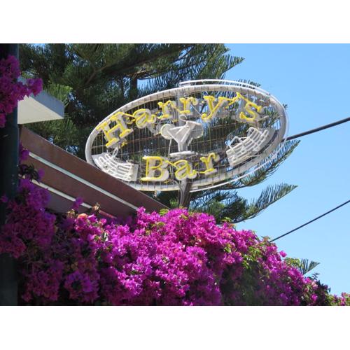Harrys bar & apartments
