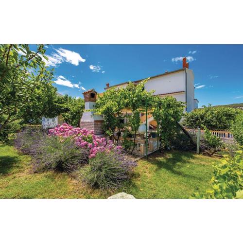 Hause Lupic