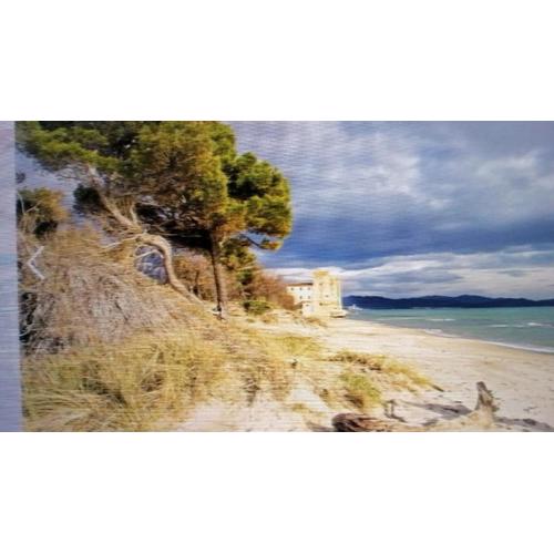 Hausemaremma 1 camera