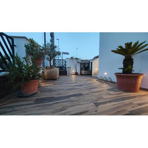 Helianthus Rooms