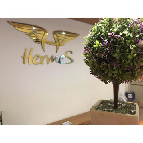 Hermes otel
