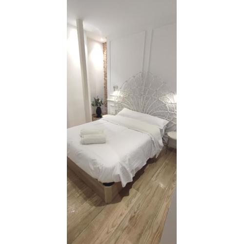 Hermosos Apartamentos en pleno Centro