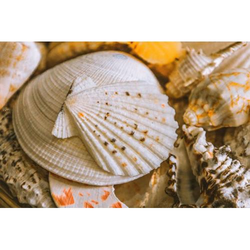 Hidden Bank: Pearls