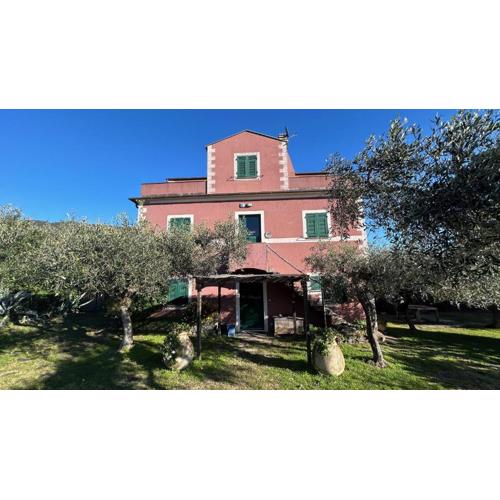 Historical Villa \