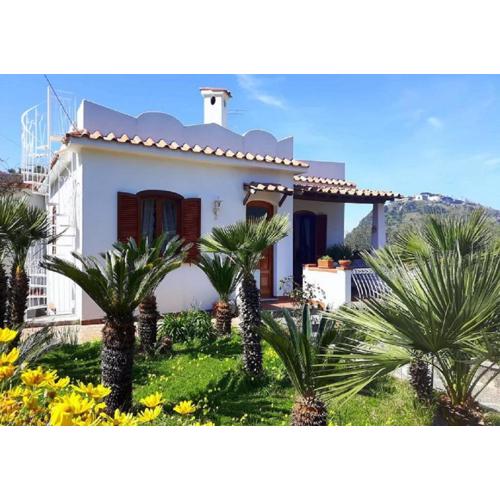 Holiday Apartments