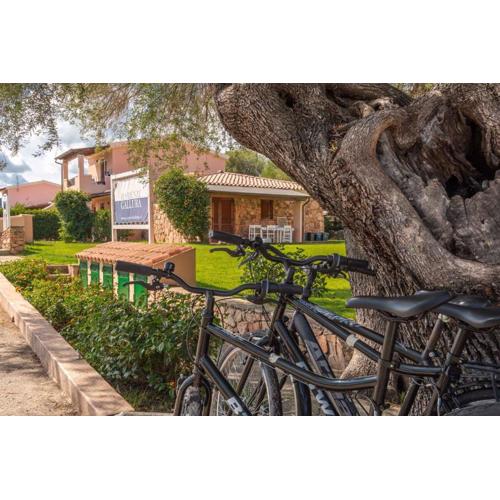 Holiday Homes in San Teodoro 27142