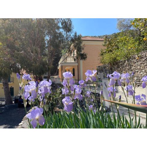 Holiday Rooms La Campagnetta