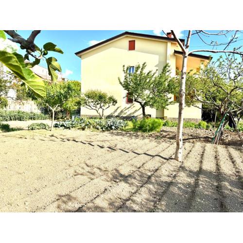Home & Garden
