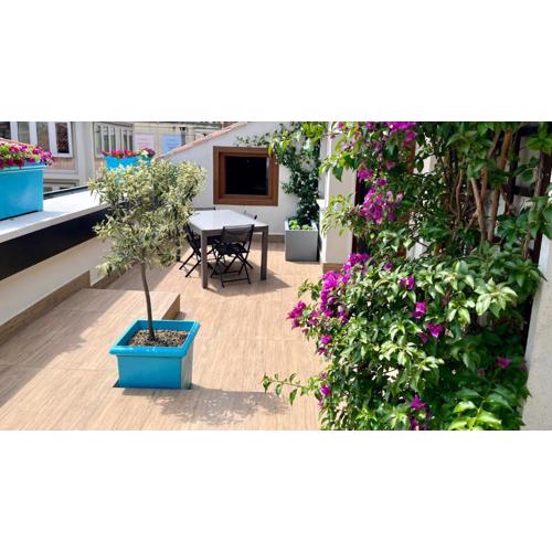 Homestay Filarmonico - Terrace near Arena