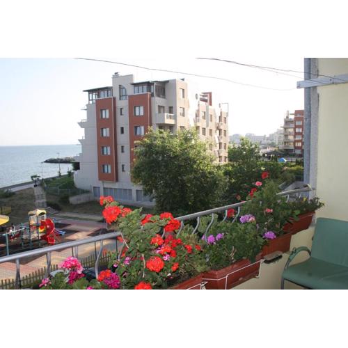 Homestay Kostadinov