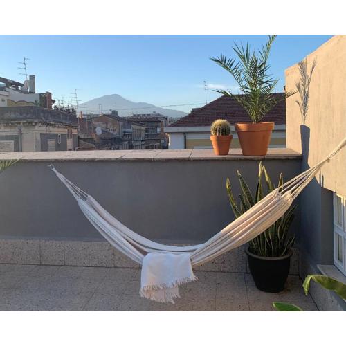 HOMESTAY rooftop