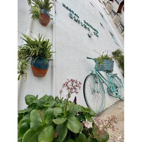 Hostal Boutique Olvido 22 Adults Only